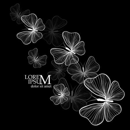 Postcard with monochrome beautiful butterflie. Black Butterfly from lines . Vector illustrationのイラスト素材