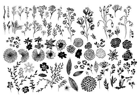 A set of monochrome floral elements. Vector illustrationのイラスト素材