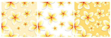 Frangipani . Plumeria. Tropical Flowers. Seamless Pattern Backgrounds. Vector Illustrationのイラスト素材