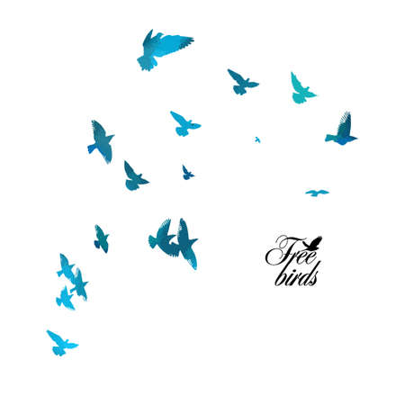 Bird watercolor. A flock of colorful birds. Mixed media. Vector illustrationのイラスト素材