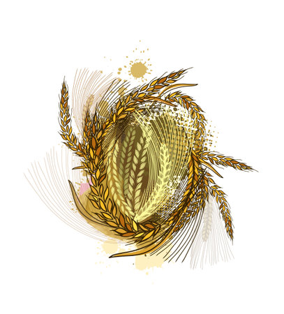 Abstract background with ears of wheat. Vectorのイラスト素材