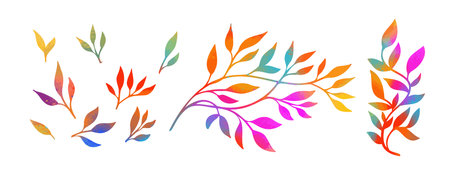 The object is a graceful multicolored twig with leaves. Set of rainbow beautiful twigs. Mixed media. Vector illustrationのイラスト素材