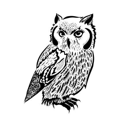 original artwork of owl, ink hand drawing in ethnic style, vector illustration in black end white colorsのイラスト素材