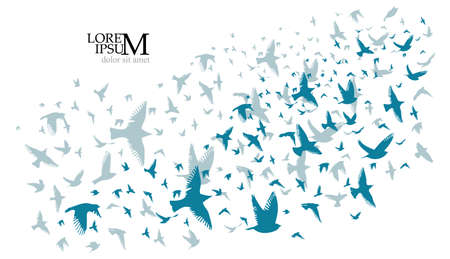 Vector colorful background of a birds' flockのイラスト素材