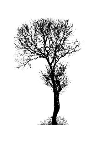 Black silhouette of a tree without leavesのイラスト素材