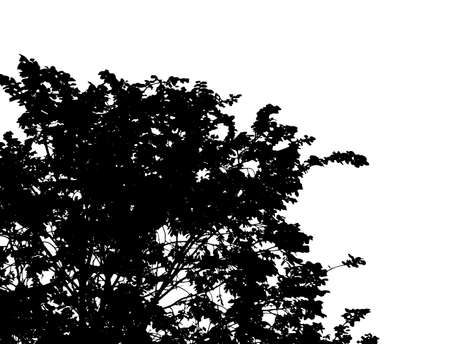 Background with deciduous tree. Vector illustrationのイラスト素材