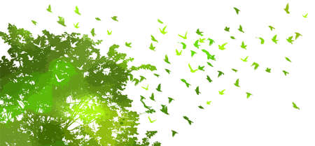 Background with green deciduous tree. Flying birds. Vector illustrationのイラスト素材