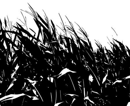 Corn field. Silhouettes of nature. Vector illustrationのイラスト素材