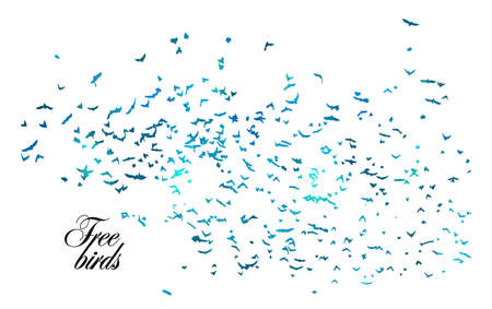Vector colorful background of a birds' flockのイラスト素材