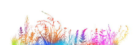 multicolored grass with flowers. Mixed media. Vector illustrationのイラスト素材