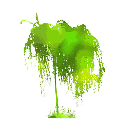 green tree object. Mixed media. weeping willow, Vector illustrationのイラスト素材