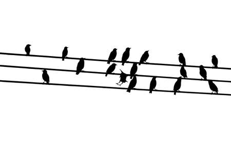Birds on wires. Vector illustrationのイラスト素材