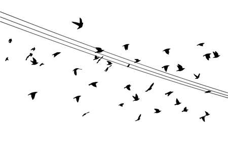 Birds on wires. Vector illustrationのイラスト素材