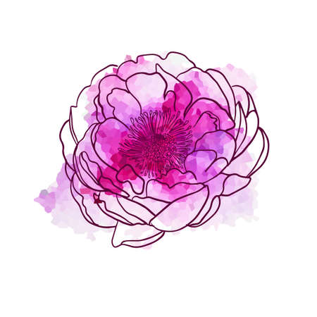 Beautiful pink watercolor flower. Vector illustrationのイラスト素材