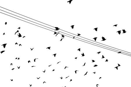Birds on wires. Vector illustrationのイラスト素材