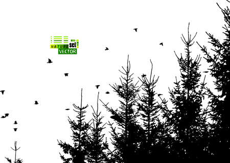 A flock of flying birds and a fir forest. Vector illustrationのイラスト素材