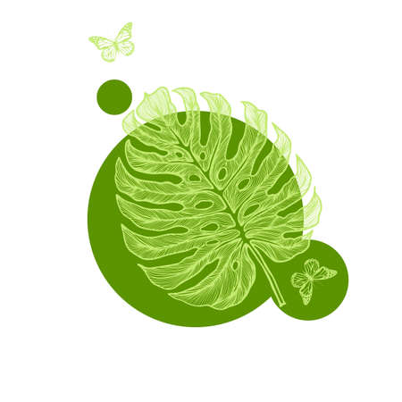 Graphic monstera leaf. Beautiful hand drawn exotic plants. logo with butterflies and exotic leaf . Vector illustrationのイラスト素材