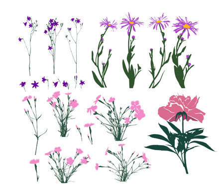 A set of different flowers. Vector illustrationのイラスト素材