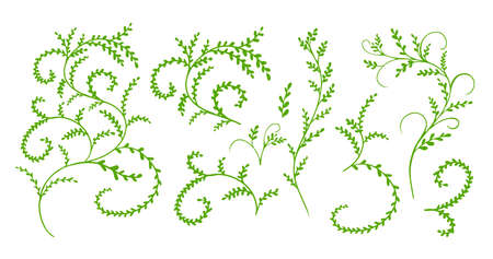 Green cute twigs set. Vector illustrationのイラスト素材