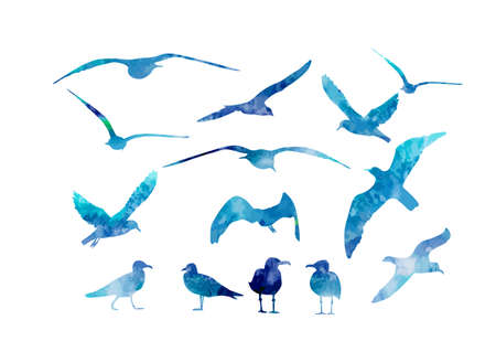 Set of blue watercolor sea gulls. Vector illustrationのイラスト素材
