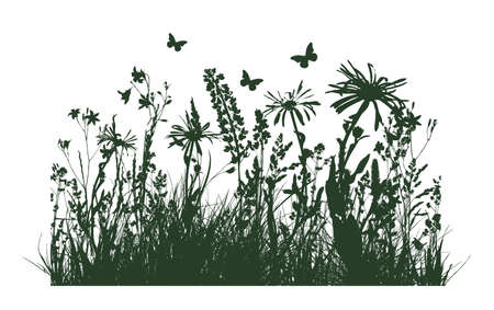 Silhouette of green grass with flowers. Vector illustrationのイラスト素材