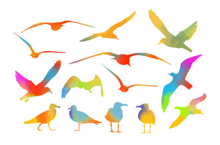 Set of multicolored watercolor sea gulls. Vector illustrationのイラスト素材