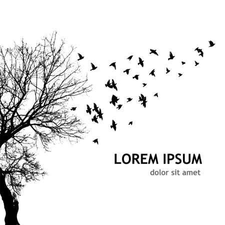 Realistic illustration with silhouettes of three birds - crows or ravens sitting on tree branch without leaves and flying, isolated on white background - vectorのイラスト素材