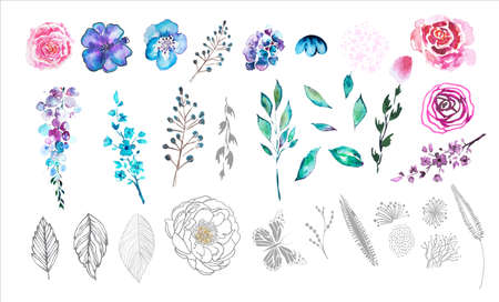 A set of watercolor flower and floral elements. Vector illustrationのイラスト素材