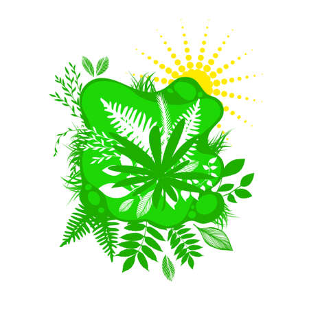 Green floral abstraction with Sun and leaves. Hello summer. Vector illustrationのイラスト素材