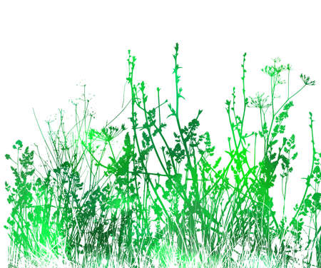 Green Grass With Flowers Isolated On White Background, Vector Illustrationのイラスト素材