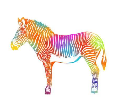 Multicolored abstract zebra. Vector illustrationのイラスト素材