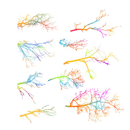 Tree colorful branches set. Vector illustrationのイラスト素材