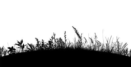 Grass black silhouettes. Vector illustrationのイラスト素材