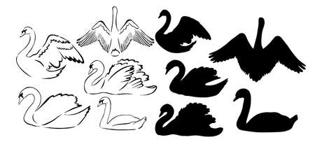Set of silhouettes of swans. Vector illustrationのイラスト素材