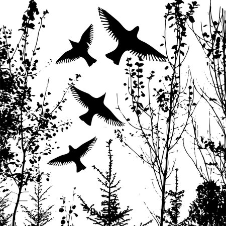 black silhouette of trees with flying birds. Vector illustrationのイラスト素材