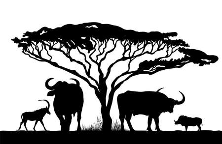 Silhouette African landscape and buffaloes Vector illustrationのイラスト素材