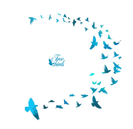 Bird watercolor. A flock of colorful birds. Mixed media. Vector illustrationのイラスト素材