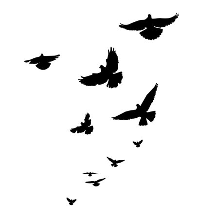 A flock of flying birds. Free birds. Vector illustrationのイラスト素材