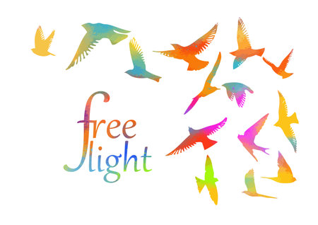 Abstract colored flying birds. Mixed media. Vector illustrationのイラスト素材