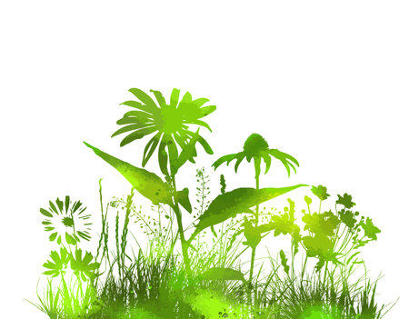 Green abstract grass and flowers. Vector illustration. Floral background. Wild grassのイラスト素材