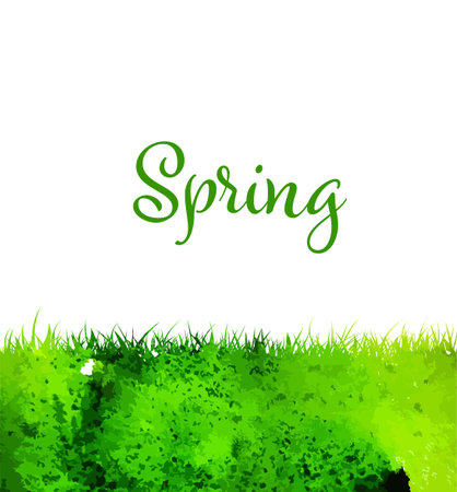 Watercolor grass background. Hello Spring. Vector illustrationのイラスト素材