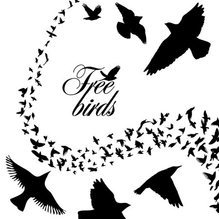 A flock of flying birds. Free birds. Vector illustrationのイラスト素材