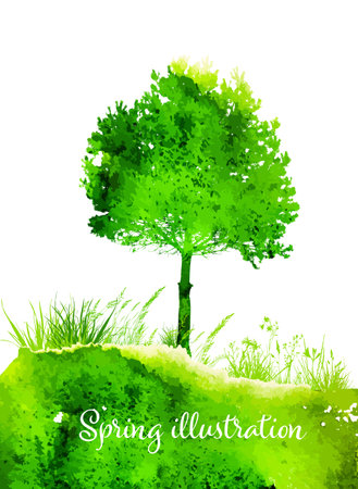 Green watercolor tree. Hello Spring. Vector illustrationのイラスト素材