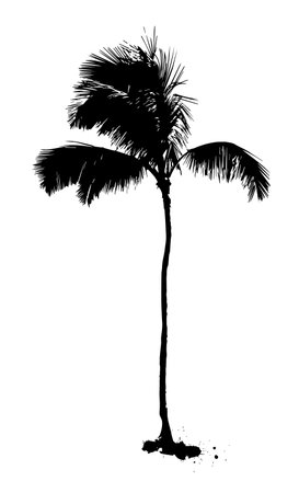 Palm tree silhouette object. Vector illustrationのイラスト素材
