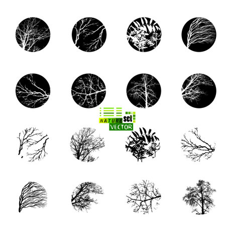 Objects trees are round. Tree branch tracing. Vector illustrationのイラスト素材