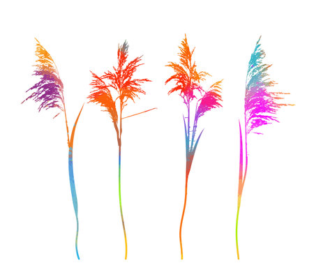 Set of colorful reeds silhouette objects. Vector illustrationのイラスト素材