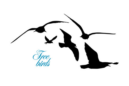 Flying seagulls silhouette. Vector illustrationのイラスト素材