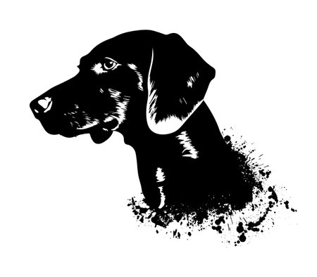 Dachshund head black graphics. Blobs of paint. Vector illustrationのイラスト素材
