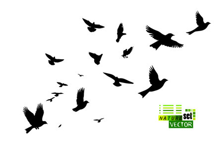 A flock of flying birds. Vector illustrationのイラスト素材