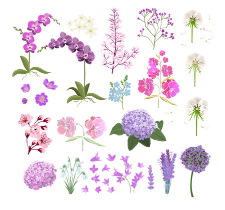 Set of objects of different flowers. Vector illustrationのイラスト素材